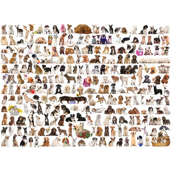 Puzzle Eurographics - Die Welt der Hunde, 1000 Teile