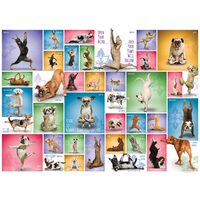 Puzzle Eurographics - Yoga Dogs, 1000 Teile