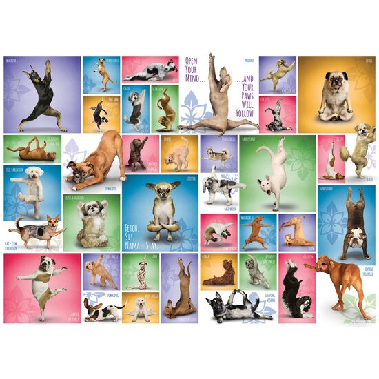 Puzzle Eurographics - Yoga Dogs, 1000 Teile