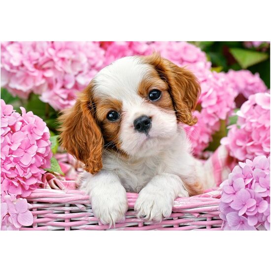 Puzzle Castorland - Welpe in rosa Blumen, 500 Teile