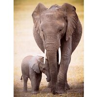 Puzzle Eurographics - Der Elefant und das Elefantenbaby, 1000 Teile