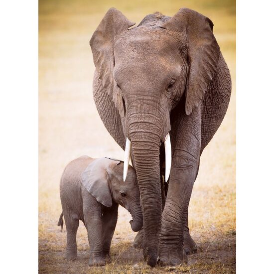 Puzzle Eurographics - Der Elefant und das Elefantenbaby, 1000 Teile