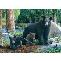 Puzzle Eurographics - Neue Entdeckungen, 1000 Teile