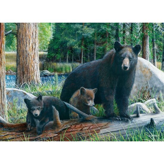 Puzzle Eurographics - Nouvelles découvertes, 1000 pièces