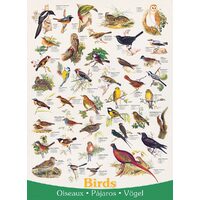 Puzzle Eurographics - Vögel, 1000 Teile