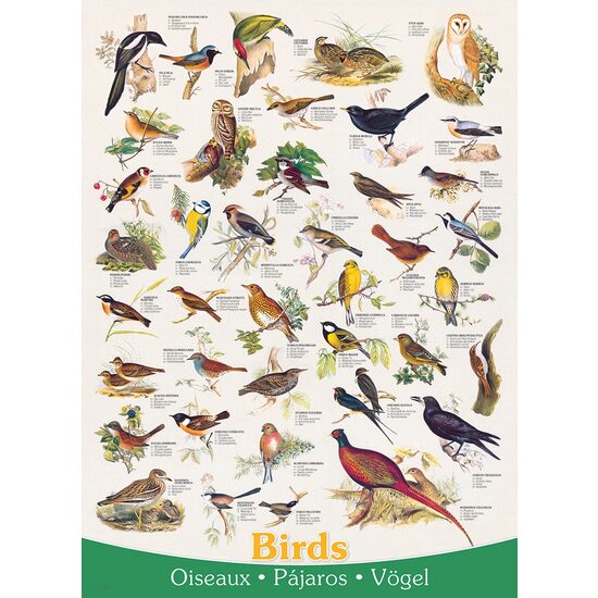 Puzzle Eurographics - Vögel, 1000 Teile
