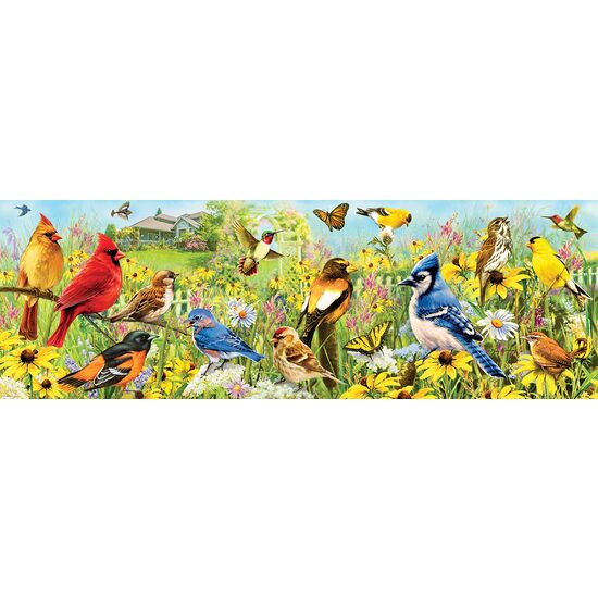 Puzzle panoramico Eurographics - Uccelli da giardino, 1000 pezzi
