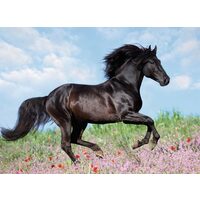 Puzzle Ravensburger - Schwarzes Pferd, 200 Teile XXL