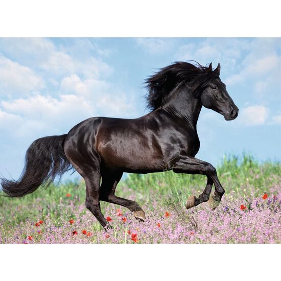 Puzzle Ravensburger - Schwarzes Pferd, 200 Teile XXL