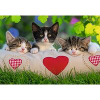 Puzzle Ravensburger - Katzen, 2x24 Teile