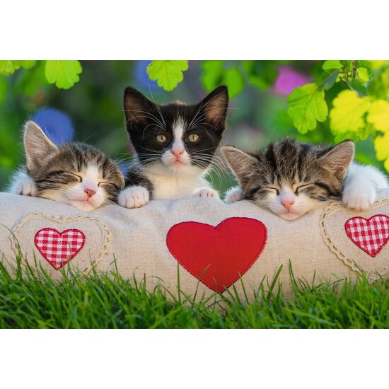 Puzzle Ravensburger - Chats, 2x24 pièces