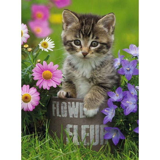 Puzzle Ravensburger - Kätzchen unter den Blumen, 100 Teile XXL