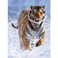 Puzzle Ravensburger - Tiger im Schnee, 500 Teile