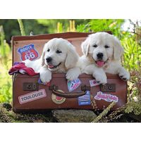 Puzzle Ravensburger - Traveling Pups, 100 Teile XXL