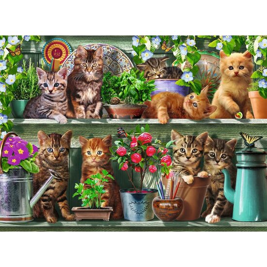 Puzzle Ravensburger - Cats on the Shelf, 500 Teile