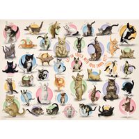 Puzzle Eurographics - Yoga-Kätzchen, 300 Teile XXL