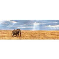 Panoramapuzzle Clementoni - Lost, 1000 Teile