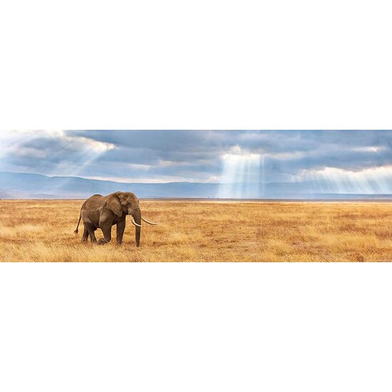 Panoramapuzzle Clementoni - Lost, 1000 Teile