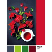 Puzzle Clementoni - Pantone - Goji-Beere, 1000 Teile