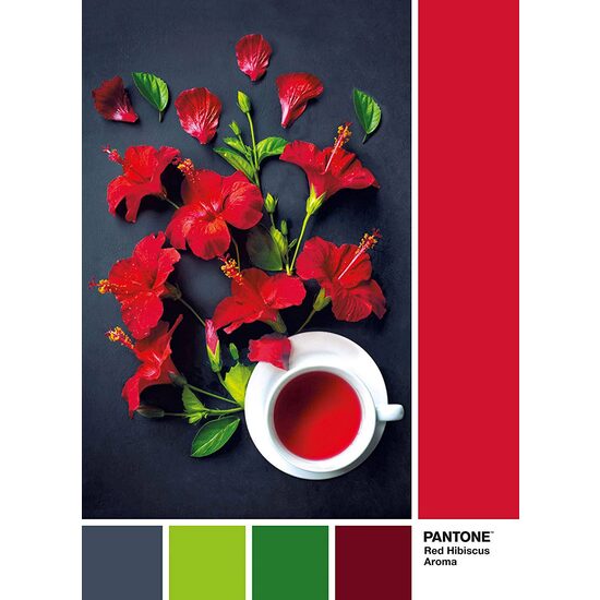 Puzzle Clementoni - Pantone - Baie de Goji, 1000 pièces