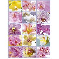 Puzzle Educa - Blumencollage, 1500 Teile