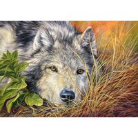 Puzzle Castorland - Pure Soul, 500 Teile