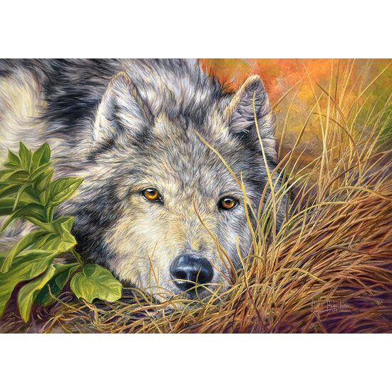 Puzzle Castorland - Pure Soul, 500 Teile