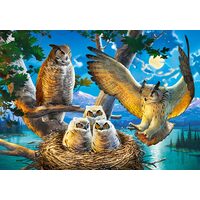 Puzzle Castorland - Eulenfamilie, 500 Teile