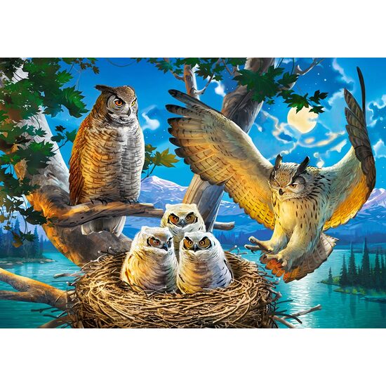 Puzzle Castorland - Famiglia dei Gufi, 500 pezzi