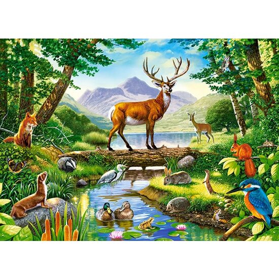 Puzzle Castorland - Armonia dei boschi, 300 pezzi