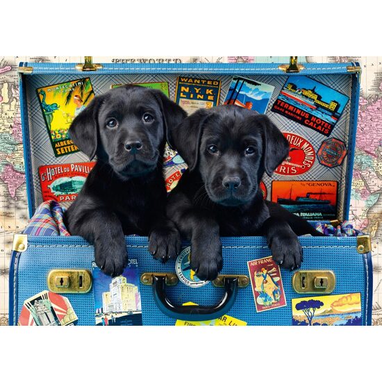 Puzzle Bluebird - Laboratoires de voyage, 1000 pièces