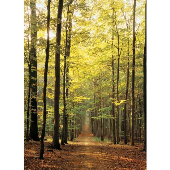 Puzzle Eurographics - Camino en el bosque, 1000 piezas
