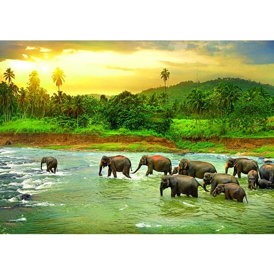 Puzzle Eurographics - Save the Planet!Animal Kingdom, 1000 Teile