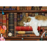 Puzzle Eurographics - The Cat Nap, 500 Teile XXL