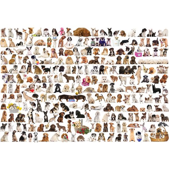 Puzzle Eurographics - Il Mondo dei Cani, 2000 pezzi