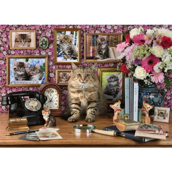 Puzzle Ravensburger - I miei gattini, 1000 pezzi