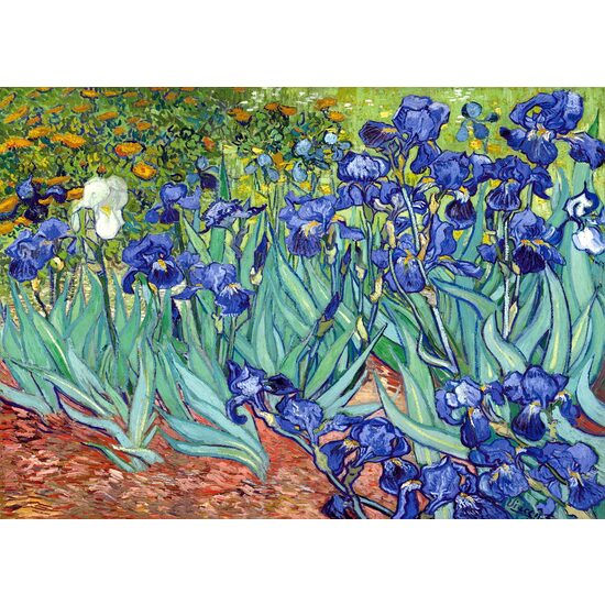 TinyPuzzle Puzzle - Vincent Van Gogh: Irises, 99 Teile