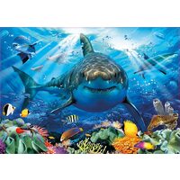 Puzzle Educa – Weißer Hai, 500 Teile, inklusive Kleber