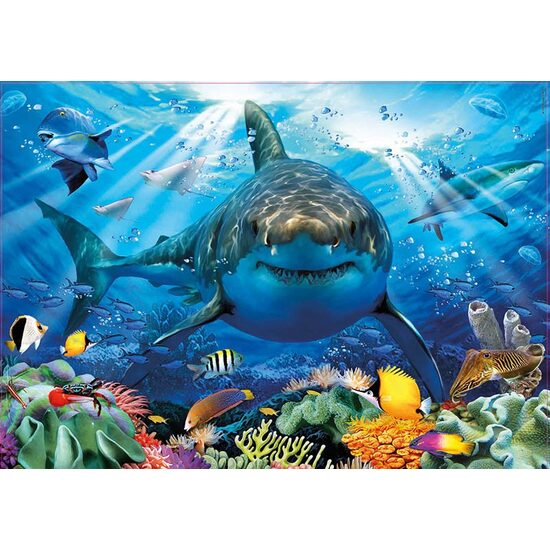 Puzzle Educa - Grande Squalo Bianco, 500 pezzi, colla inclusa