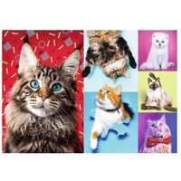 Puzzle Trefl - Gatti Felici, 1000 pezzi