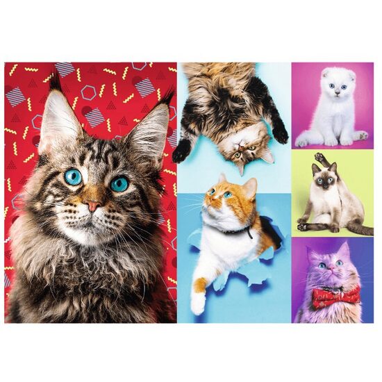 Puzzle Trefl - Gatti Felici, 1000 pezzi