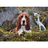 Puzzle Clementoni - Charlie Brow, 1000 Teile