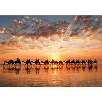 Puzzle Educa - Sunset In Beach Cable, 1000 Teile