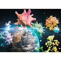Puzzle Schmidt - Planet Erde 2020, 1000 Teile