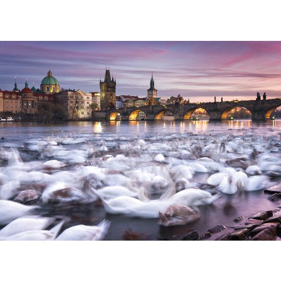 Puzzle Schmidt - Praga - Cigni, 1000 pezzi