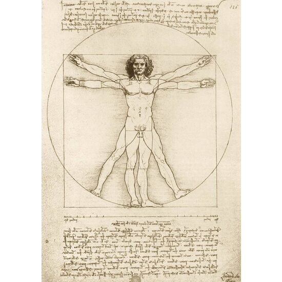 Puzzle 1000 pièces - Léonard de Vinci : L'Homme de Vitruve, 1490