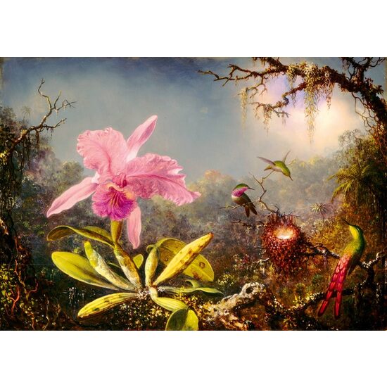 Puzzle de 1000 piezas - Martin Johnson Heade: Orquídea Cattleya y tres colibríes, 1871