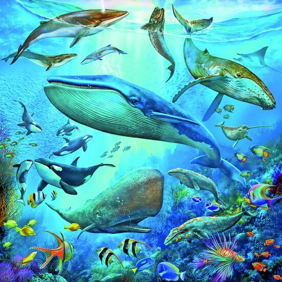 Ravensburger Puzzle - Unterwasserwelt, 3x49 Teile