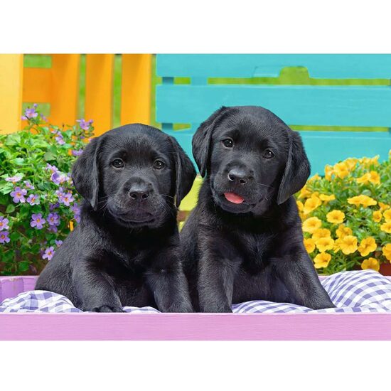 Puzzle Ravensburger - Welpen, 300 Teile XXL