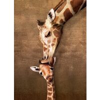 Puzzle 500 Teile XXL - Kuss der Giraffenmutter